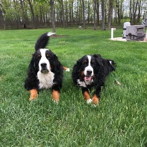 Meet your Posher, Julie